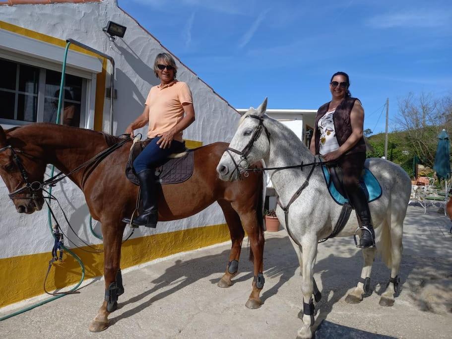Casinha Da Lareira - Quintinha Dos Cavalos- アルダ・ドス・ヴィーニョス エクステリア 写真